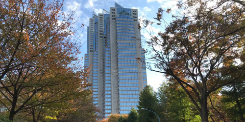 ホワイトアカデミーとは